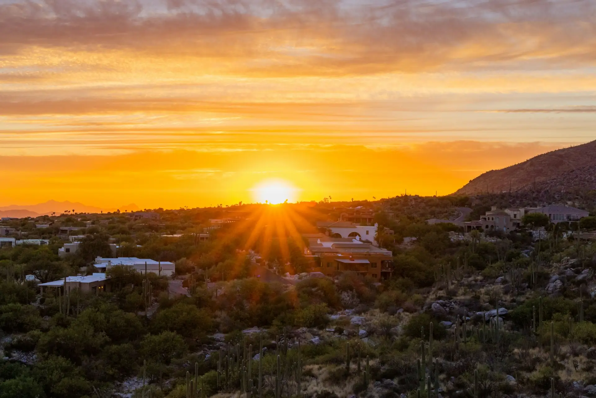 Houses surrounded by trees at scenic sunset in Tucson, Arizona, USA